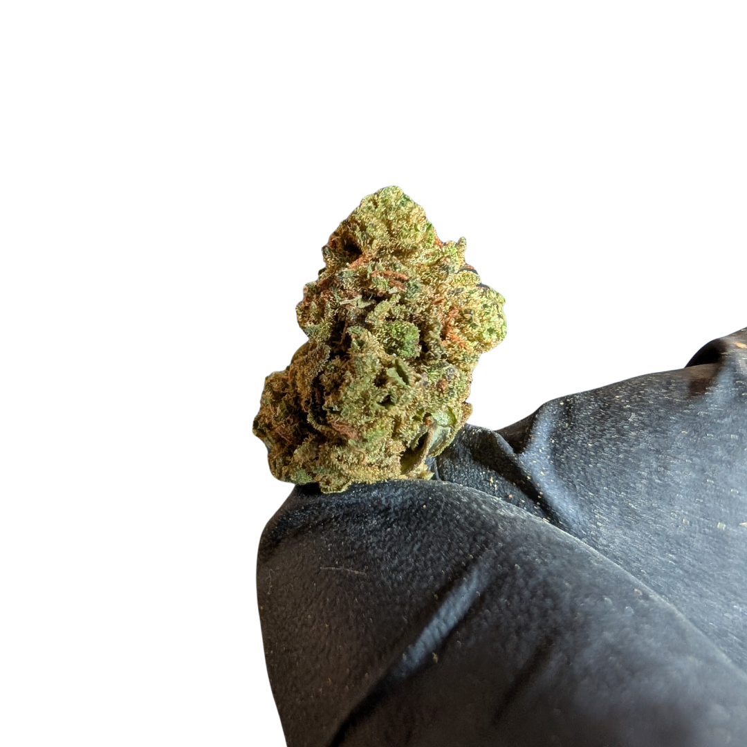 Amnesia CBD