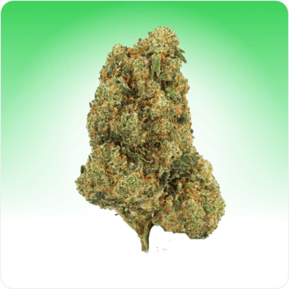 Amnesia CBD