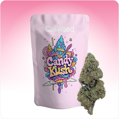 Candy Kush CBD