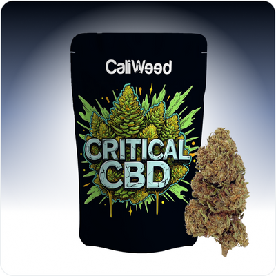 Critical CBD
