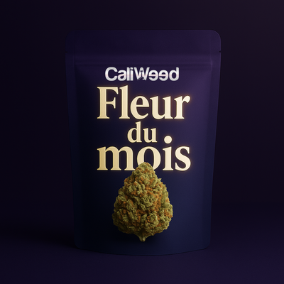 CBD-Blume des Monats