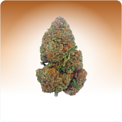 Girl Scout Cookies CBD