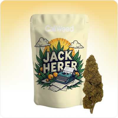 Jack Herer CBD
