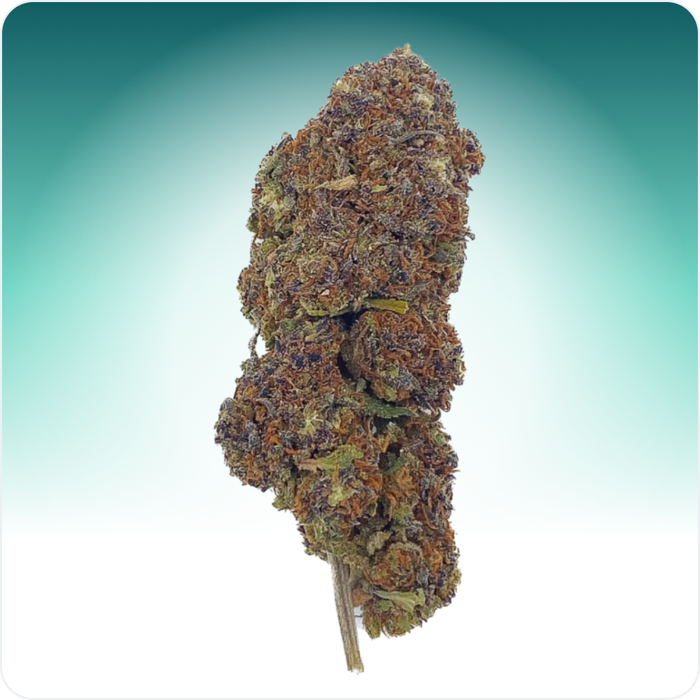 Northern Light Blue CBD