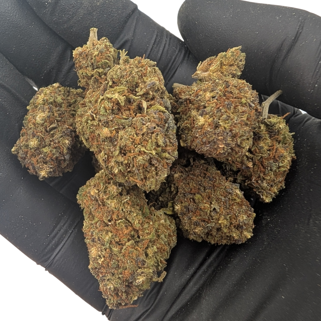 Northern Light Blue CBD