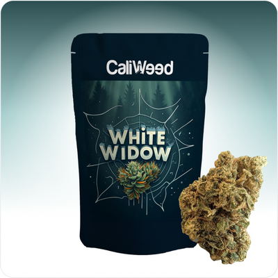 White Widow CBD