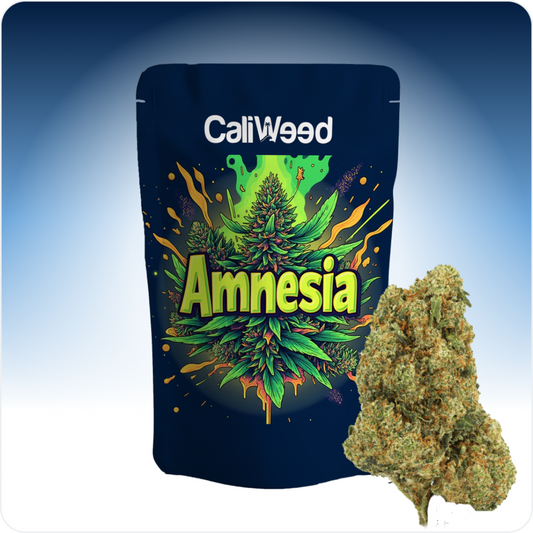 Amnesia CBD