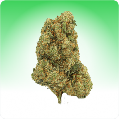 Amnesia CBD