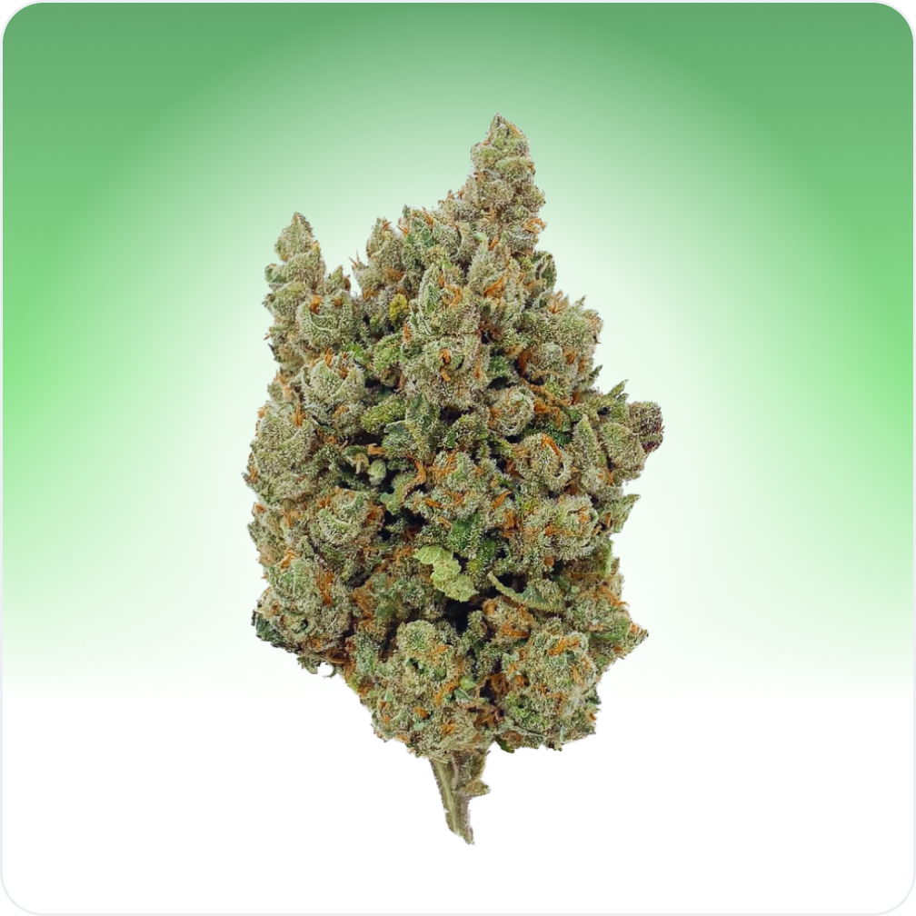 Big Bud CBD
