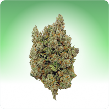Big Bud CBD