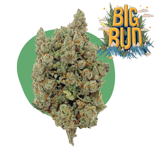 Big Bud CBD