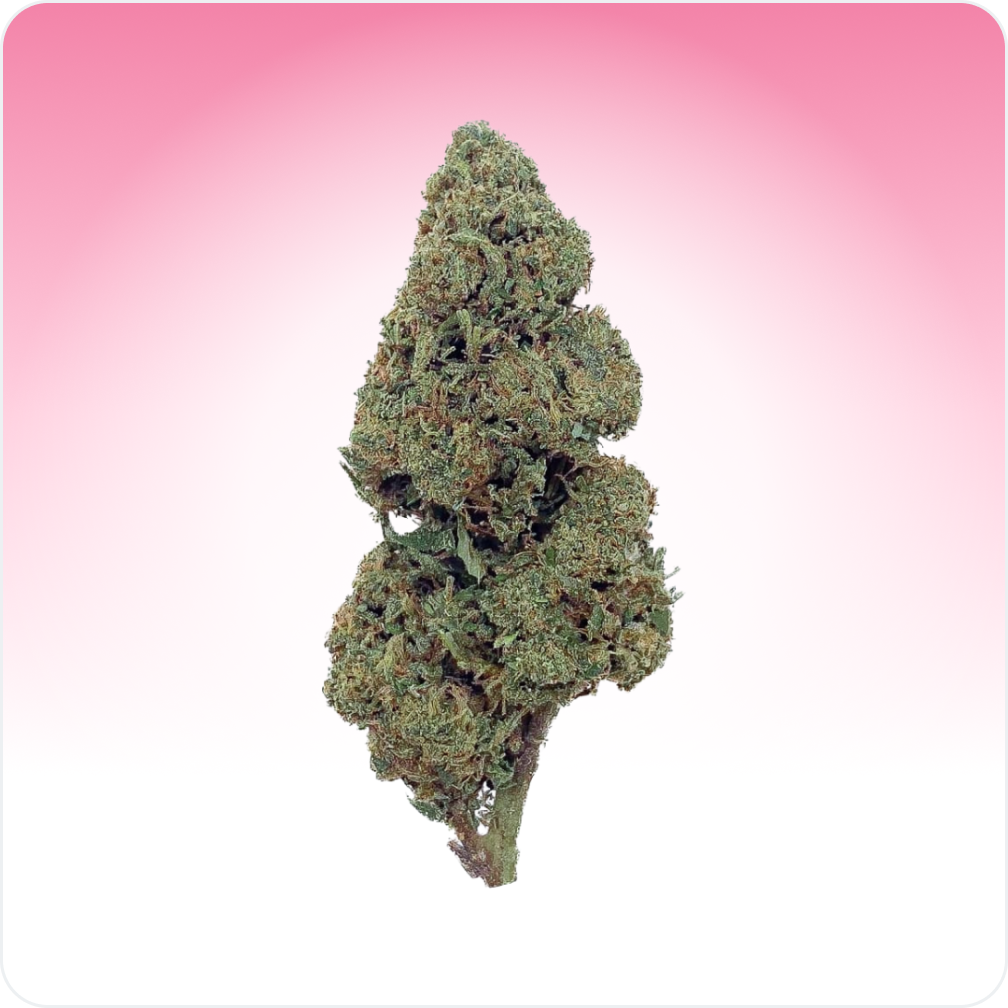 Candy Kush CBD