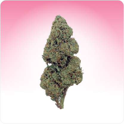 Candy Kush CBD