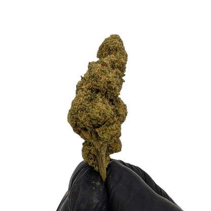 Candy Kush CBD