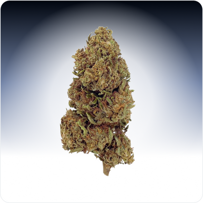 Critical CBD