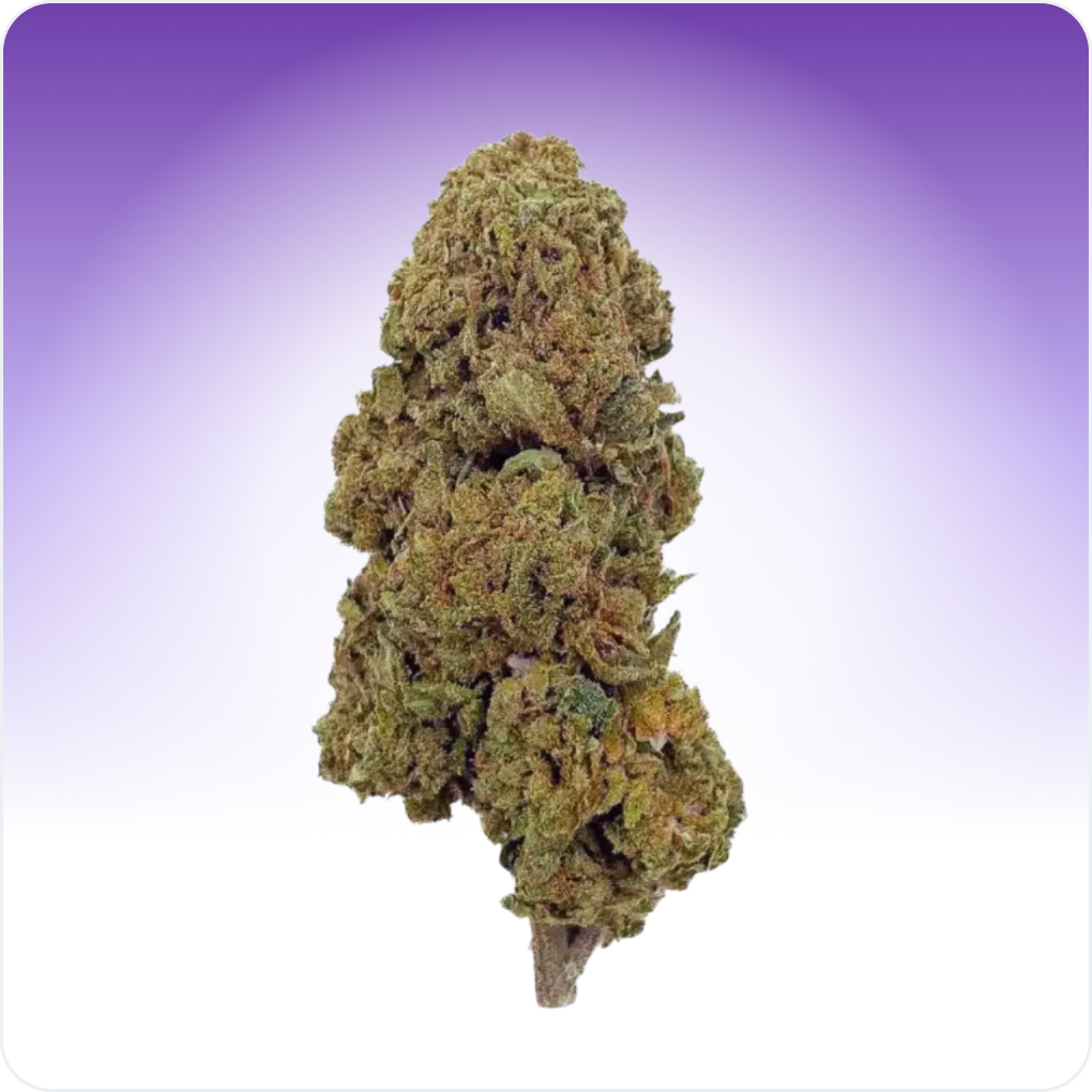 Gelato CBD