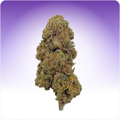 Gelato CBD