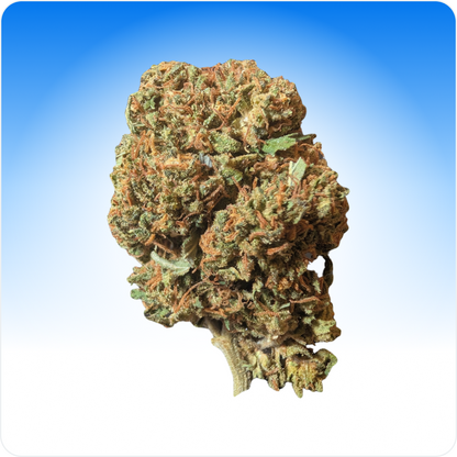 Zkittlez CBD