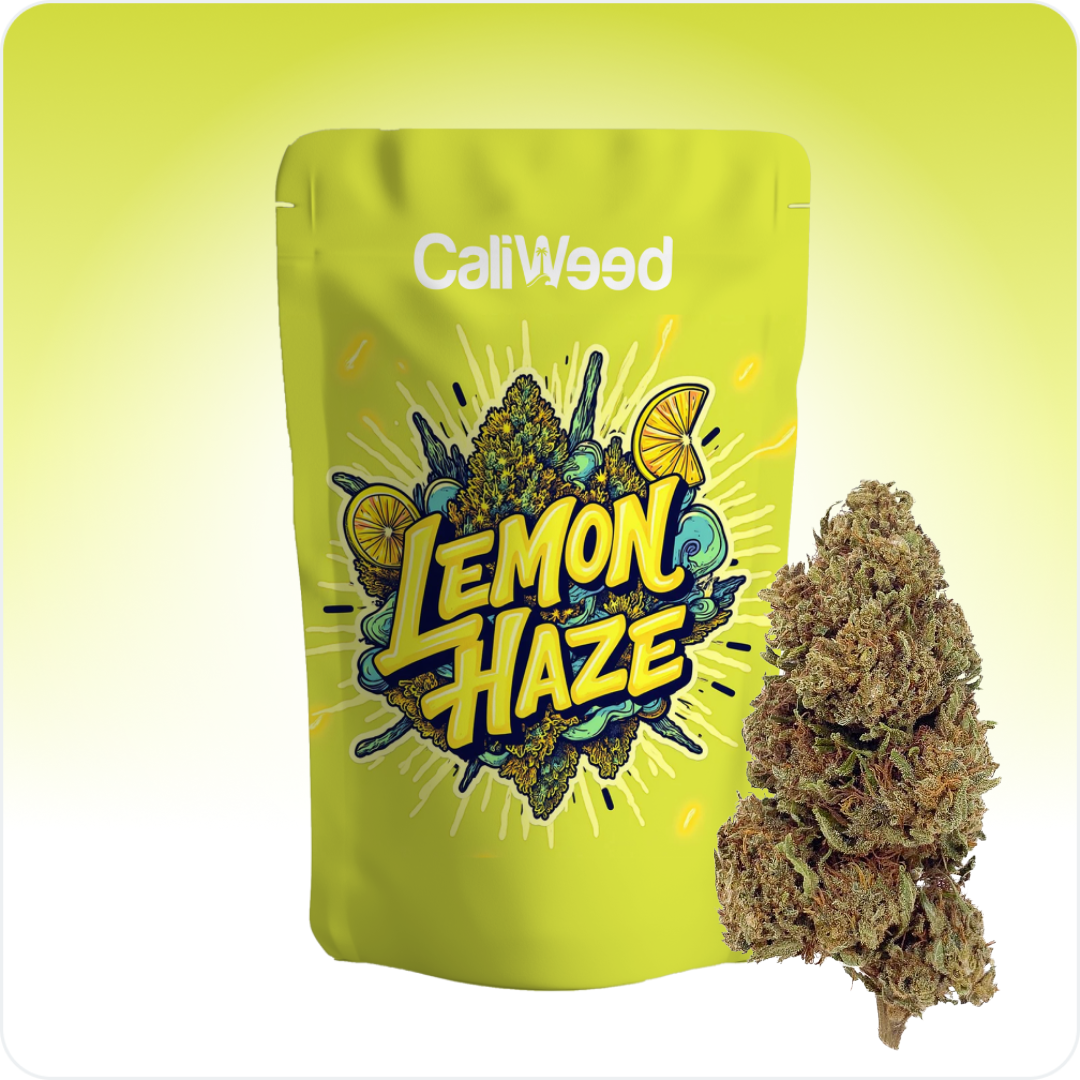 Lemon Haze CBD