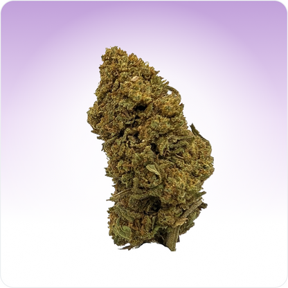 Mimosa CBD