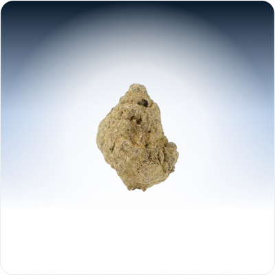 Moonrock Small Buds