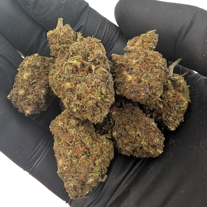 Northern Light Blue CBD