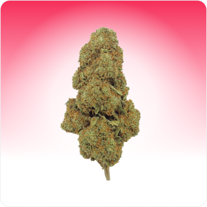 Strawberry Haze CBD