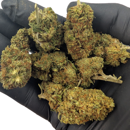 Zkittlez CBD