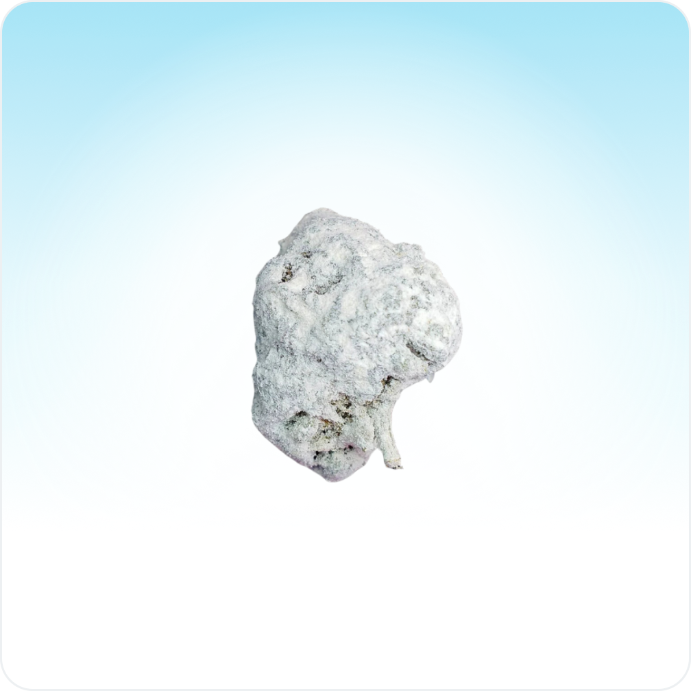Ice Rock Small Buds