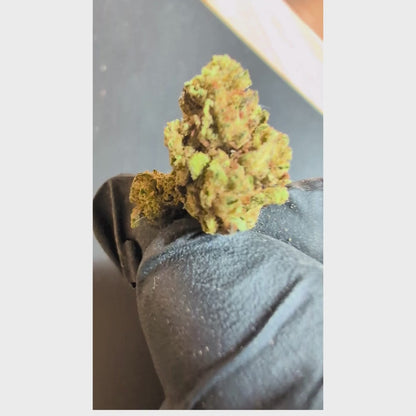 Amnesia CBD