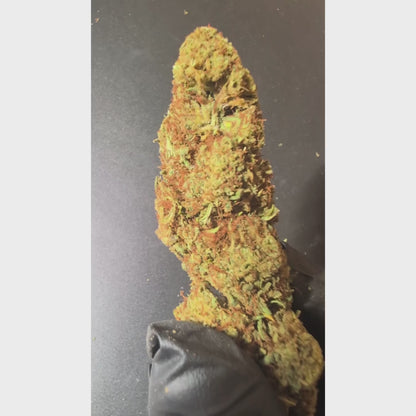Lemon Haze CBD
