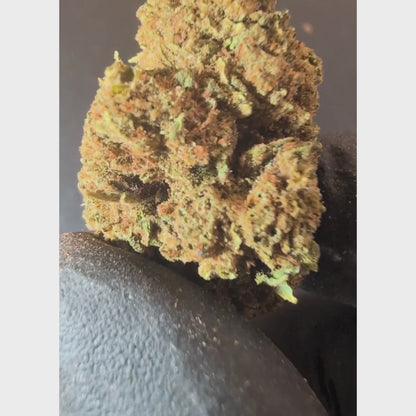 AK-47 CBD