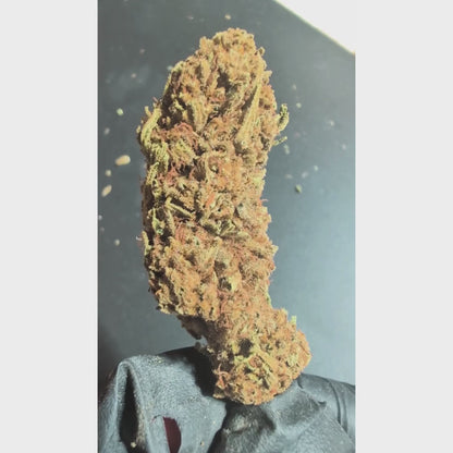 Critical CBD