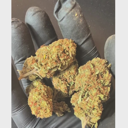 Zkittlez CBD