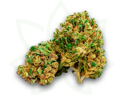 blume cbd nyc diesel indoor 3 5 10 20 50 gramm mafrenchweed 1