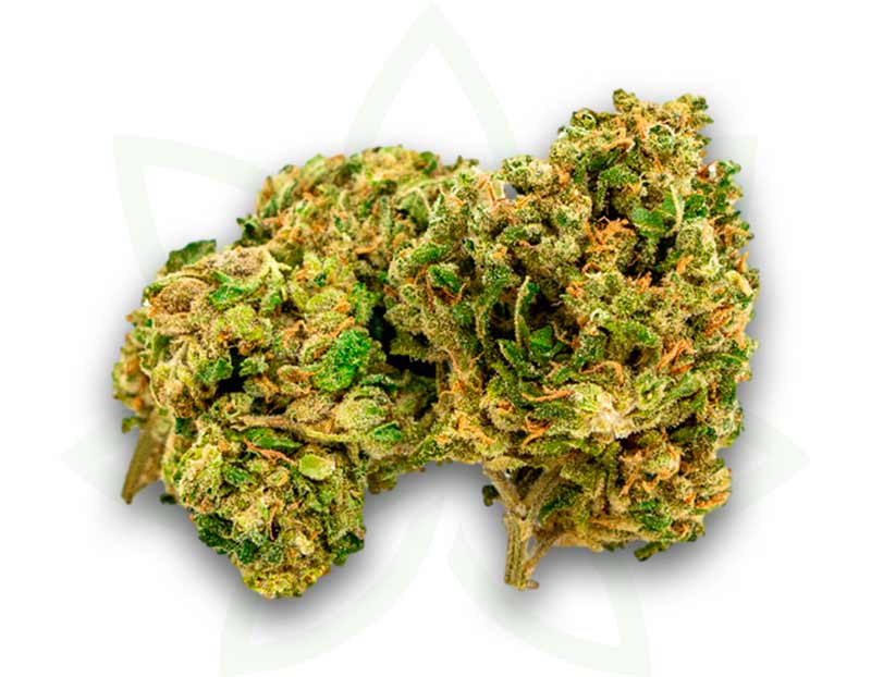 blume cbd nyc diesel indoor 3 5 10 20 50 gramm mafrenchweed 2