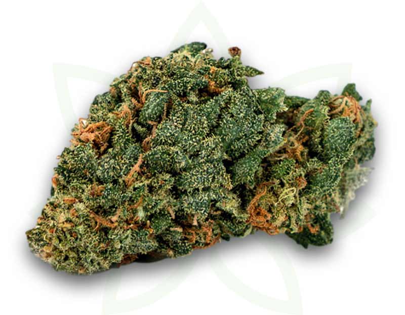 blume cbg blue cheese indoor 3 5 10 20 50 gramm mafrenchweed 1